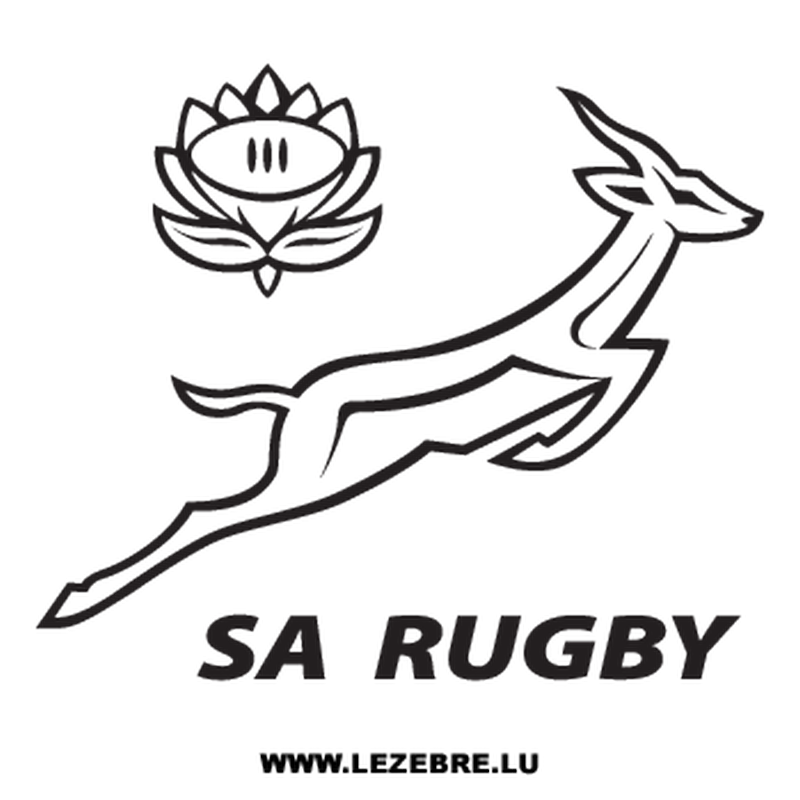 Sweat-shirt South Africa Rugby Logo