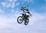 Freestyle Motocross Decoration Decal