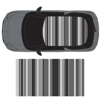 Graphic Art Shades of Grey car roof sticker