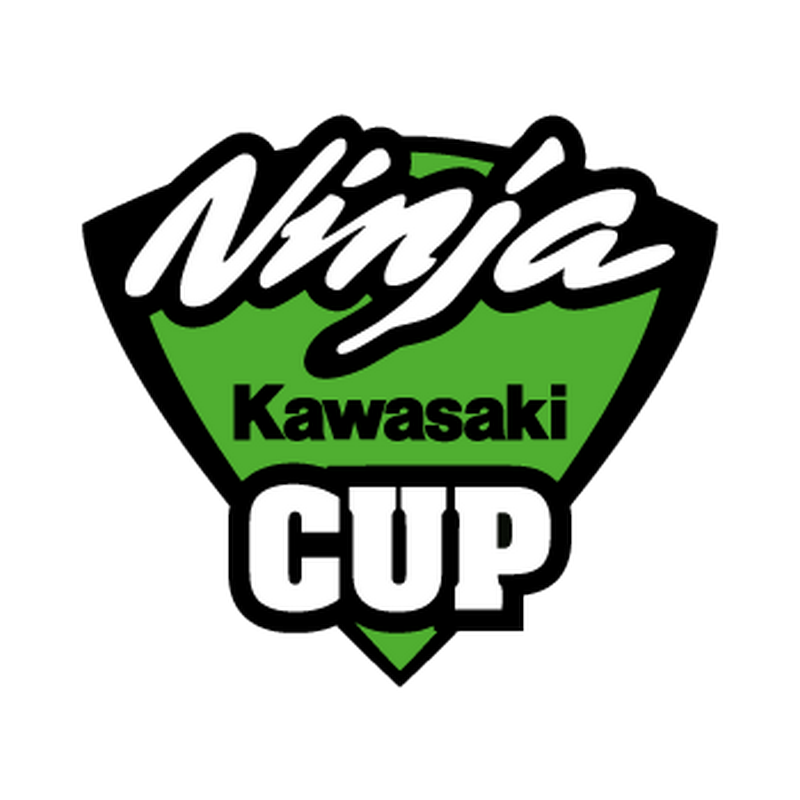 Kawasaki Ninja Cup Decal