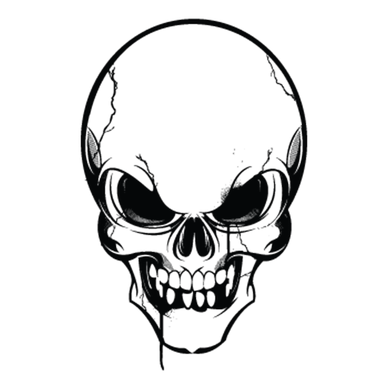 Skull Decal 4