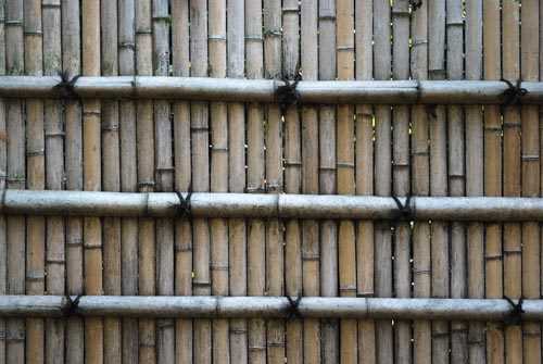 Bamboo Decoration Decal #10