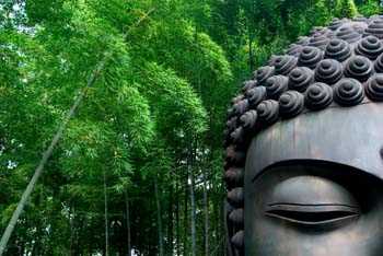 Wandsticker groß Buddha