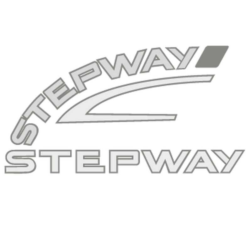 Renault Stepway Logo Decal