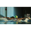 Dekoaufkleber Schwimmer In der Olympia-Schwimmhalle