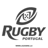 Portugal Rugby Logo Carbon Decal
