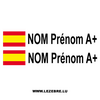 2x Spanish Flag Pilot / Co-pilot Custom Decals