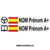 2x Spanish Flag Steering Wheel Pilot / Co-pilot Custom Decals