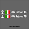 2x Italian Flag Steering Wheel Pilot / Co-pilot Custom Decals