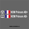 Kit 2 Stickers Steuer Flagge Frankreich Fahrer / Beifahrer Rallye zum Personalisieren