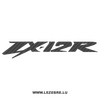 Kawasaki ZX-12R Carbon Decal