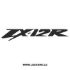 Kappe Kawasaki ZX-12R