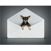 Sticker Deko kleiner Hund dans une enveloppe