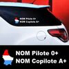 Kit de 2 Stickers Auto Pilote et Copilote Luxembourg à Personnaliser