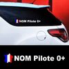 Set of 2 car Pilote France Decals