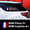 Set of 2 car Pilote and Co-pilot France Decals