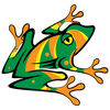 Colorful Frog Decal