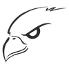 Falken Falcon logo Decal