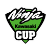 Kawasaki Ninja Cup Decal