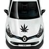 Sticker Renault Pot Leaf Cannabis