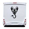 Sticker Camping Car Scorpion 11
