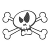 Skull Carbon Decal