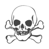 Skull Carbon Decal 2