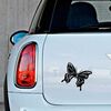 Butterfly Mini Decal 62