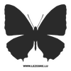 Butterfly Decal 32