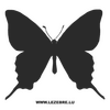 Butterfly Decal 36