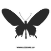 Butterfly Decal 50