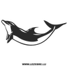 Kappe Delphin