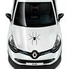 Spider Renault Decal