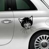 Kitten Fiat 500 Decal