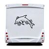 Flowers Dolphins Camping Car Decal