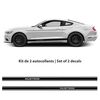 Ford Mustang car stripes Decals set (2015-2017)