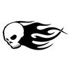 Skull in Flames Decal