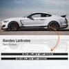 Ford Mustang Shelby GT350 Stripes Decals