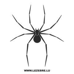 Spider Decal