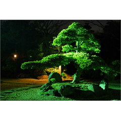 Sticker groß Jardin japonais de nuit