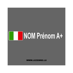 Kit 2 Stickers Flagge Italien Fahrer Rallye zum Personalisieren