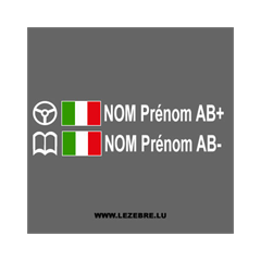 Kit 2 Stickers Steuer Flagge Italien Fahrer / Beifahrer Rallye zum Personalisieren