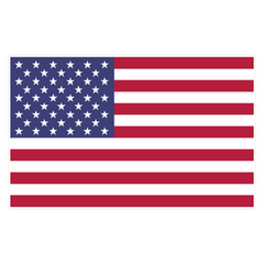 US Flag decorative Decal