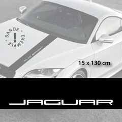 Jaguar car hood decal strip