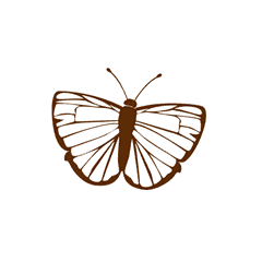 Butterfly Decal 1