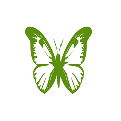 Butterfly Decal 2