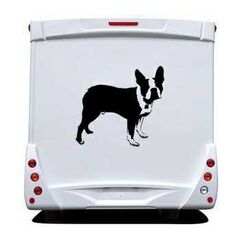 Sticker Wohnwagen/Wohnmobil Boston Terrier