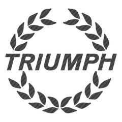 Triumph Carbon Decal 4