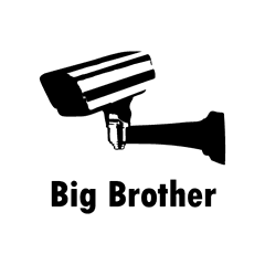 Big Brother Decal