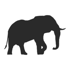 Elephant Safari decal